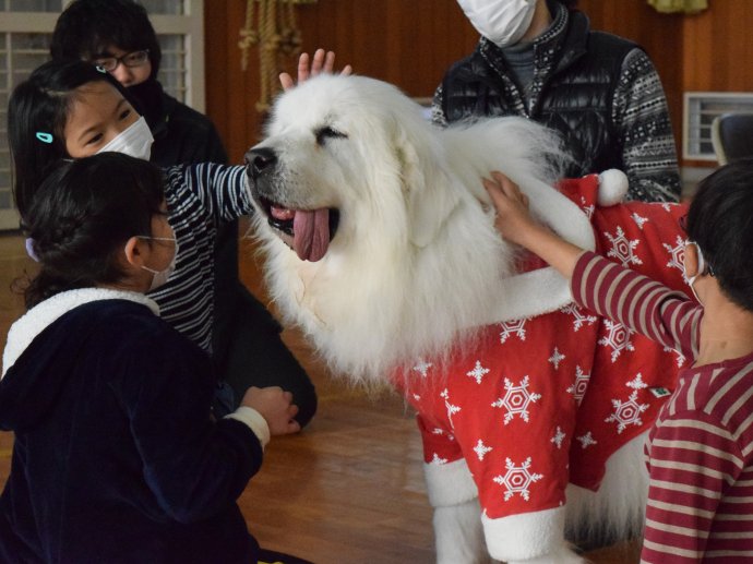 動物愛護教室