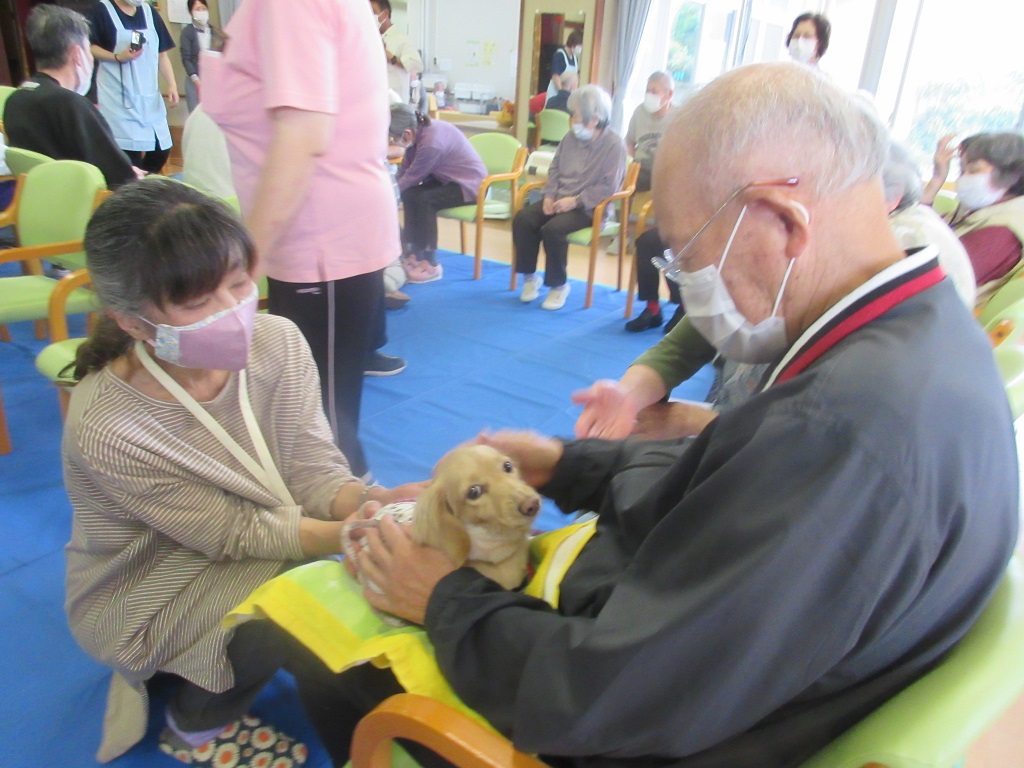 動物ふれあい訪問活動