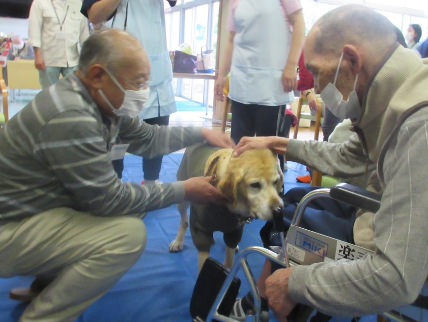 動物ふれあい訪問活動