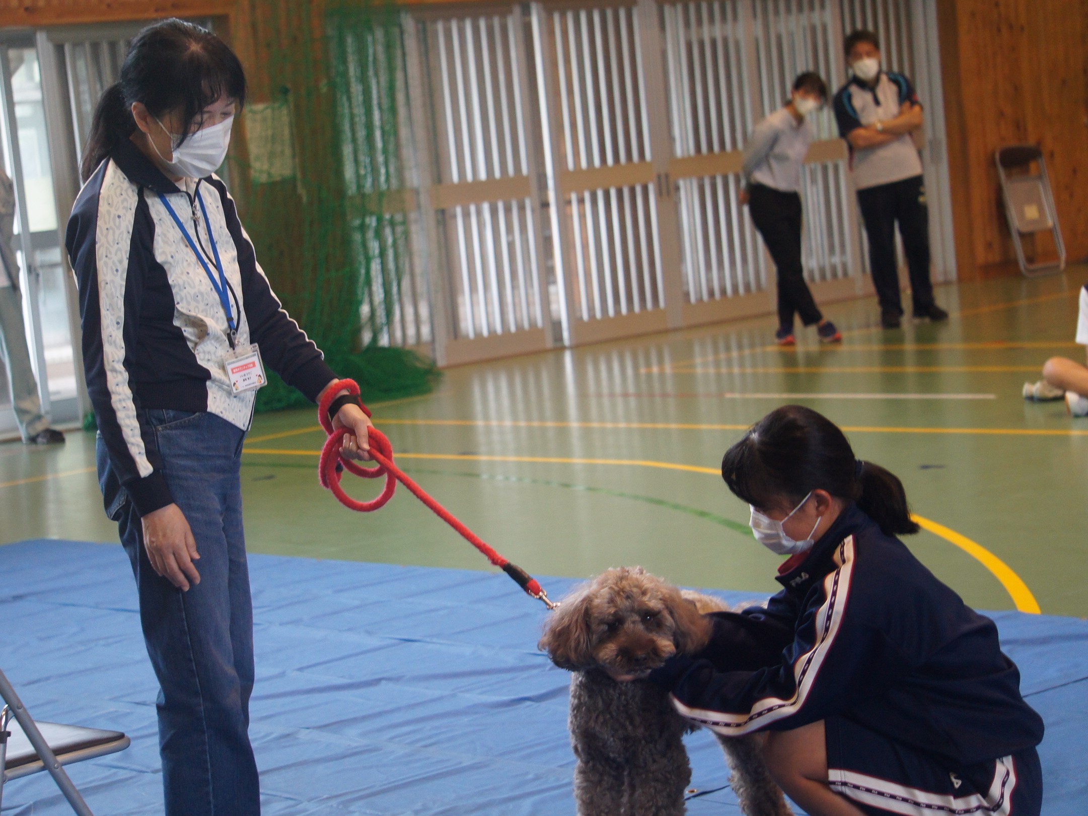 岡崎中 動物愛護教室 (３)