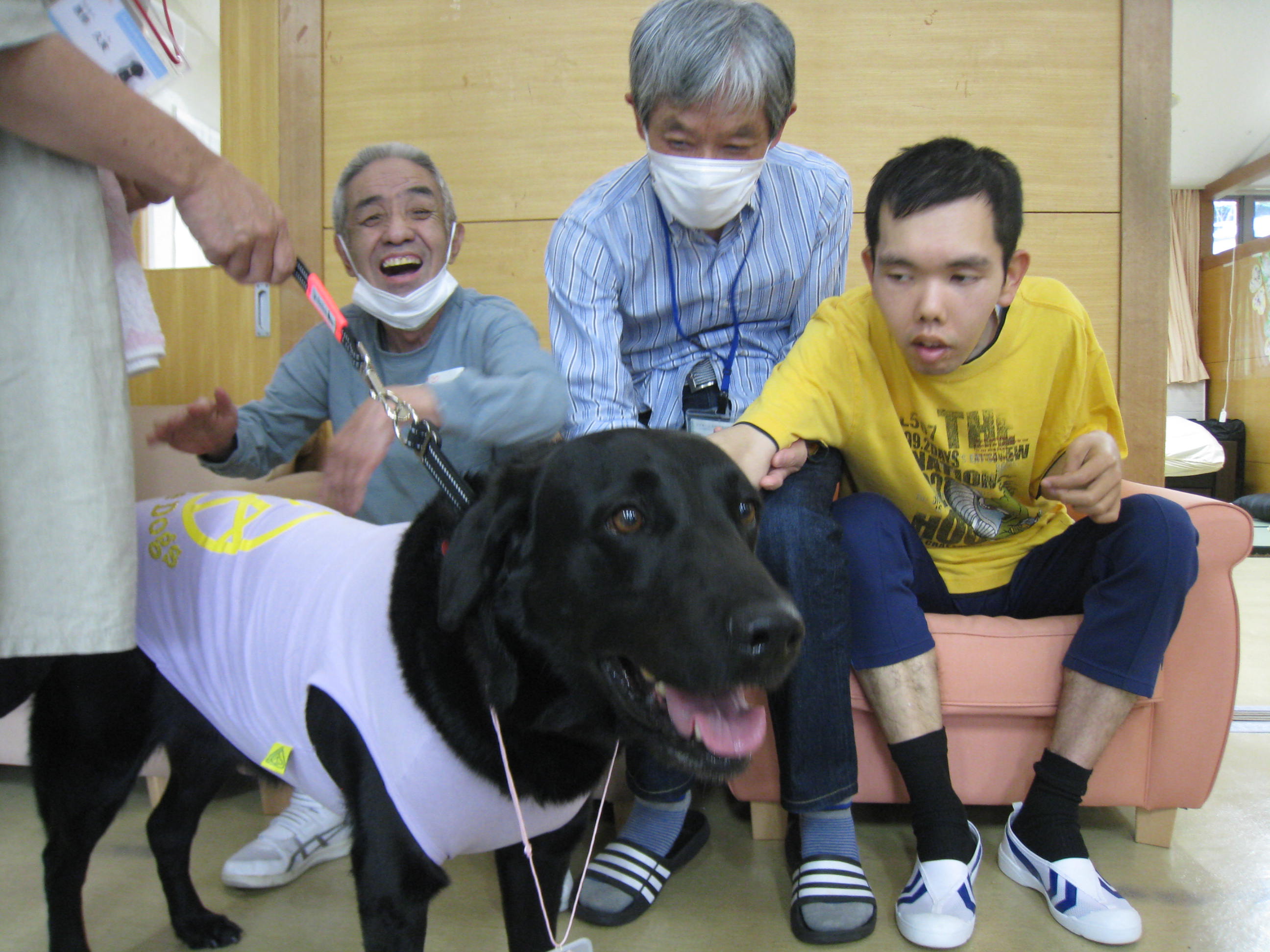 野ばら1