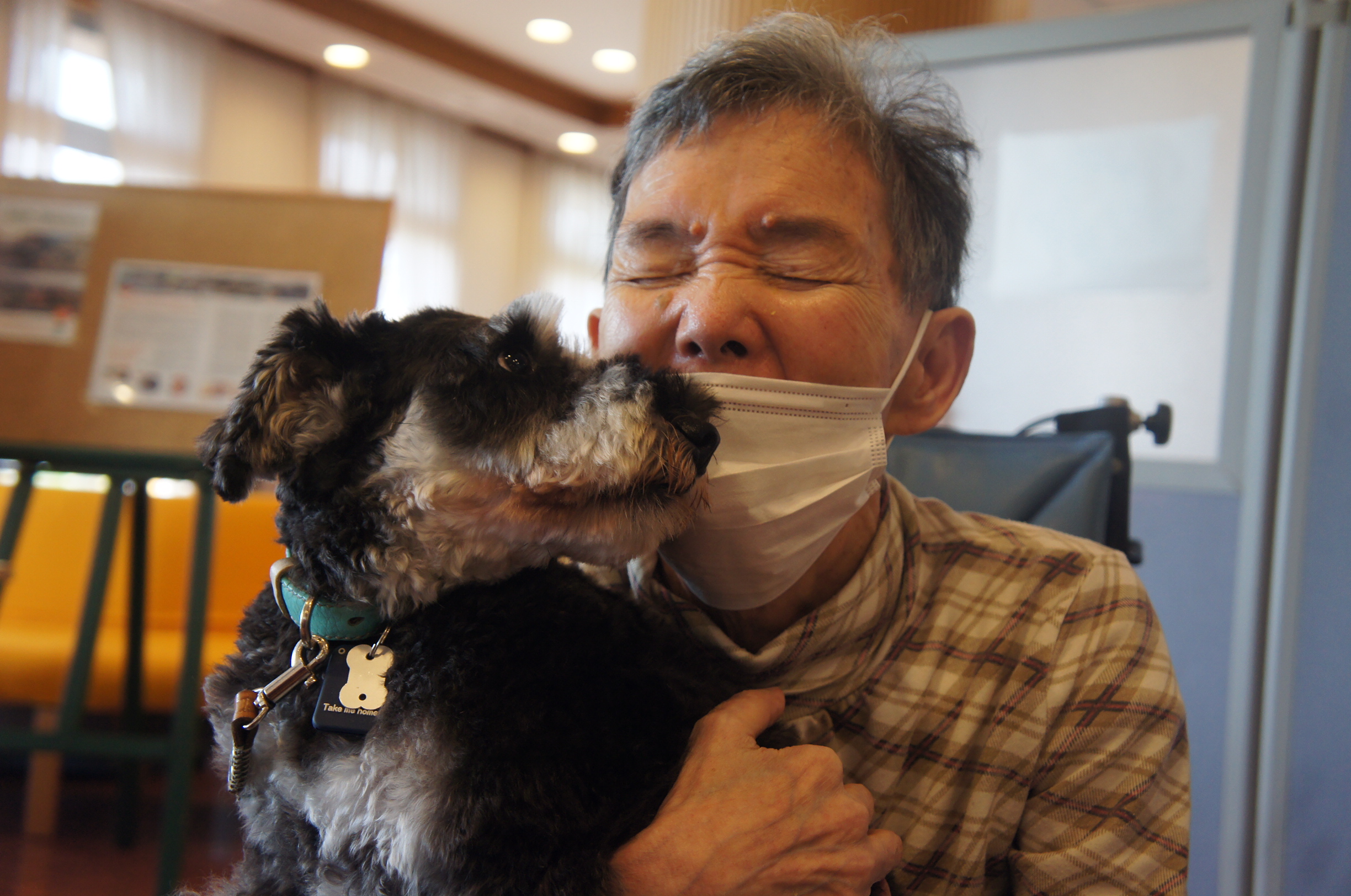 動物ふれあい訪問活動 東海清風園
