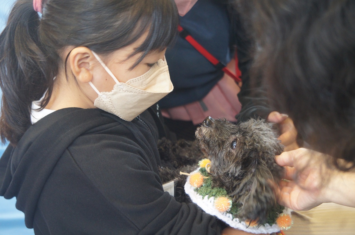 動物愛護教室