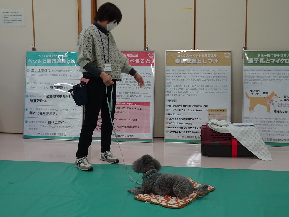 清水3