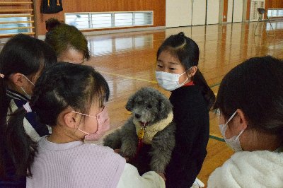 吉永２ (1)