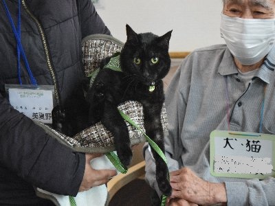 ちょうどえ～HP用写真 (4)