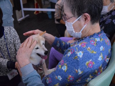 ちょうどえ～HP用写真 (8)