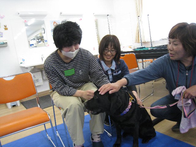 R8年度南部すみれ1