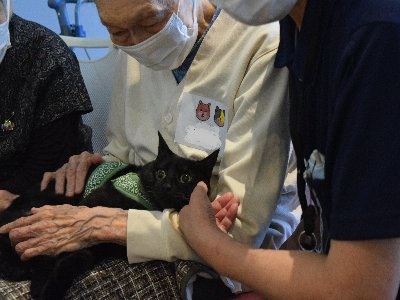 いこいの園HP候補 (1)