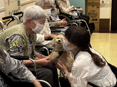平成の杜1