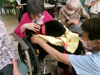 サン静浦HP候補 (1)