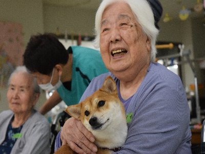 サン静浦HP候補 (2)