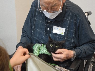 みどりが丘ホームHP候補 (3)